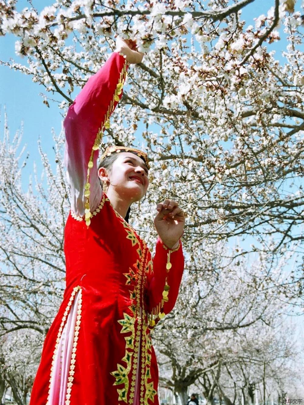 英吉沙县迎来赏花旅游热